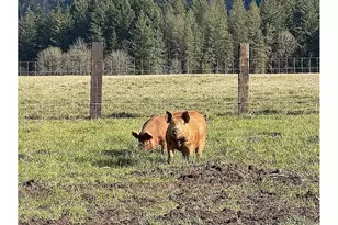 23625 S Hwy 99W, Amity, OR 97101 - Photo 27