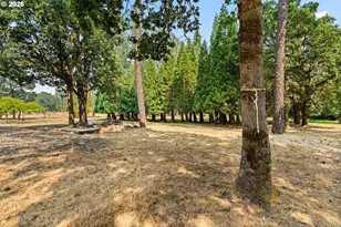 26266 Cory Rd, Junction City, OR 97448 - Photo 27