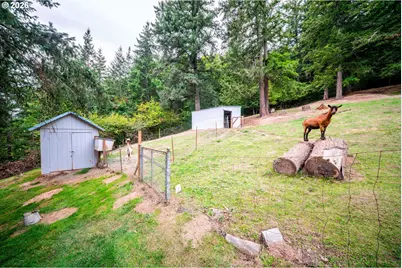 20595 SE Borges Rd, Damascus, OR 97089 - Photo 5