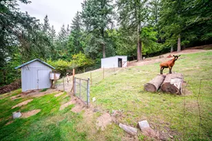 20595 SE Borges Rd, Damascus, OR 97089 - Photo 5