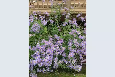 246 Walker Rd, Toledo, WA 98591 - Photo 13