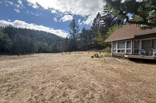 1090 E Willis Creek Rd, Winston, OR 97496 - Photo 37