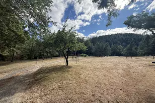 1090 E Willis Creek Rd, Winston, OR 97496 - Photo 7