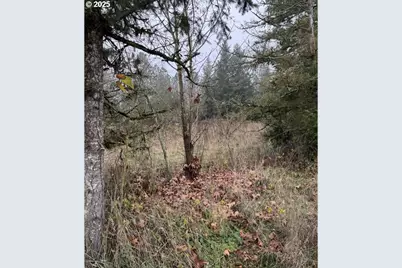 12192 S Mulino Rd, Canby, OR 97013 - Photo 21