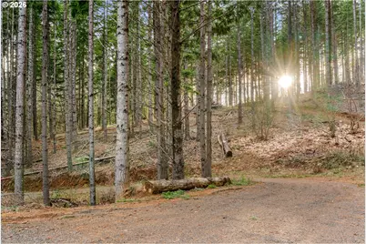 1202 Scoggins Rd, Underwood, WA 98651 - Photo 37