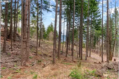 1202 Scoggins Rd, Underwood, WA 98651 - Photo 39