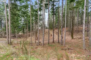 1202 Scoggins Rd, Underwood, WA 98651 - Photo 45