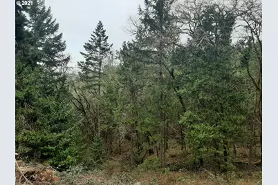 0 Lookingglass Rd, Roseburg, OR 97471 - Photo 3