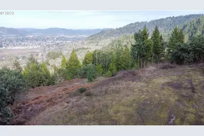 0 Lookingglass Rd, Roseburg, OR 97471 - Photo 25