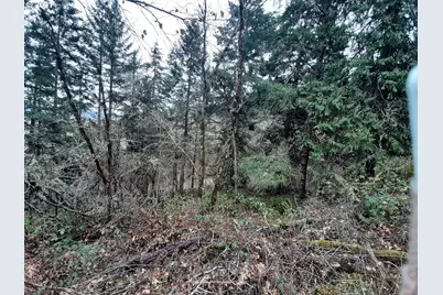 0 Lookingglass Rd, Roseburg, OR 97471 - Photo 7
