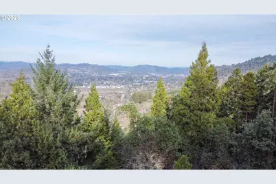 0 Lookingglass Rd, Roseburg, OR 97471 - Photo 19
