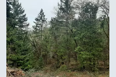 0 Lookingglass Rd, Roseburg, OR 97471 - Photo 9