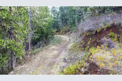 0 Lookingglass Rd, Roseburg, OR 97471 - Photo 17