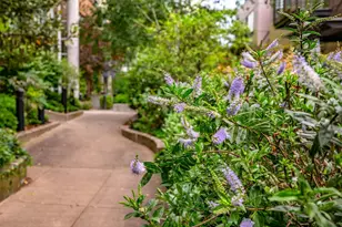 922 NW 11th Ave, Portland, OR 97209 - Photo 39