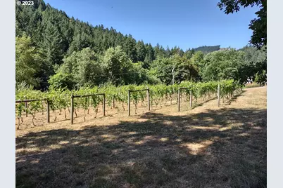 375 Porter Creek Rd, Winston, OR 97496 - Photo 39