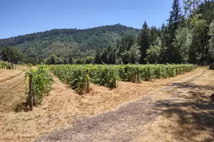 375 Porter Creek Rd, Winston, OR 97496 - Photo 35