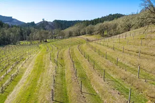 375 Porter Creek Rd, Winston, OR 97496 - Photo 17