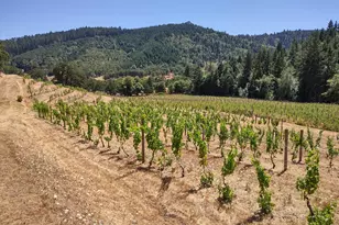 375 Porter Creek Rd, Winston, OR 97496 - Photo 37