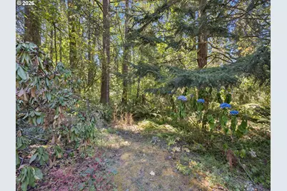 22073 E Wild Fern Ln, Brightwood, OR 97011 - Photo 35