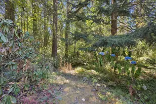 22073 E Wild Fern Ln, Brightwood, OR 97011 - Photo 35