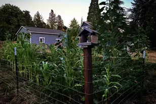 24305 NE Hwy 240, Newberg, OR 97132 - Photo 45
