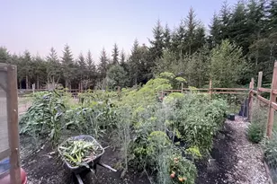 62710 Wagon Wheel Dr, Saint Helens, OR 97051 - Photo 45