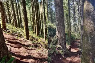 2678 Drift Creek Rd NE, Silverton, OR 97381 - Photo 15