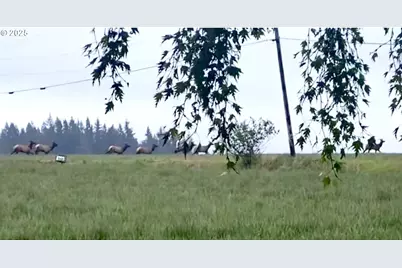 2678 Drift Creek Rd NE, Silverton, OR 97381 - Photo 31