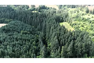 2678 Drift Creek Rd NE, Silverton, OR 97381 - Photo 7