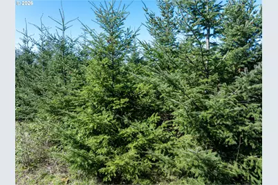 0 Whitney Rd, Rainier, OR 97048 - Photo 9
