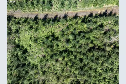 0 Whitney Rd, Rainier, OR 97048 - Photo 21