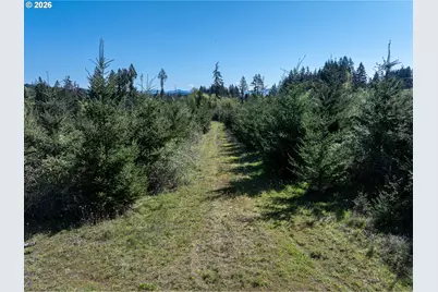 0 Whitney Rd, Rainier, OR 97048 - Photo 15
