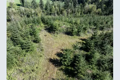 0 Whitney Rd, Rainier, OR 97048 - Photo 13