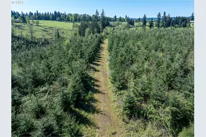 0 Whitney Rd, Rainier, OR 97048 - Photo 27