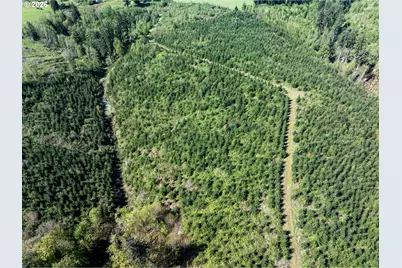 0 Whitney Rd, Rainier, OR 97048 - Photo 23
