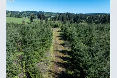 0 Whitney Rd, Rainier, OR 97048 - Photo 11