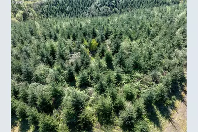 0 Whitney Rd, Rainier, OR 97048 - Photo 25