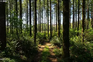 32185 Upper Nestucca River Rd, Beaver, OR 97108 - Photo 23