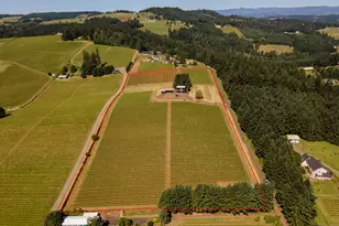 20600 NE Overlook Dr, Dundee, OR 97115 - Photo 35