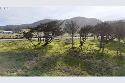 Old Coast Rd, Gold Beach, OR 97444 - Photo 23