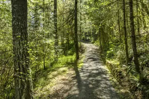15051 NW Crane Ln, Yamhill, OR 97148 - Photo 3