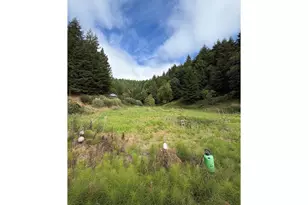 94344 Hwy 42, Coquille, OR 97423 - Photo 5