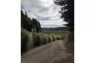 94344 Hwy 42, Coquille, OR 97423 - Photo 3