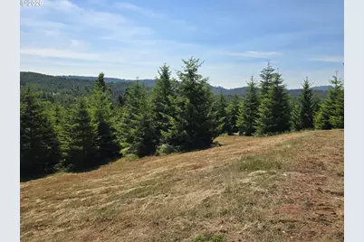 28818 Gowdyville Rd, Lorane, OR 97451 - Photo 17