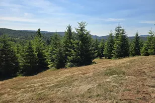 28818 Gowdyville Rd, Lorane, OR 97451 - Photo 17