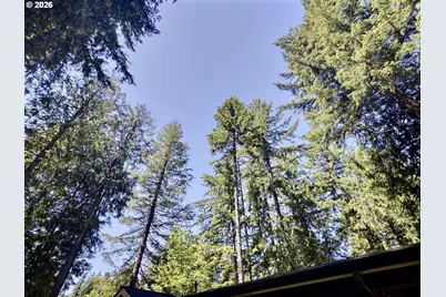 64934 E Lupine Dr, Rhododendron, OR 97049 - Photo 21