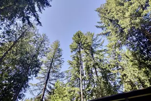 64934 E Lupine Dr, Rhododendron, OR 97049 - Photo 21