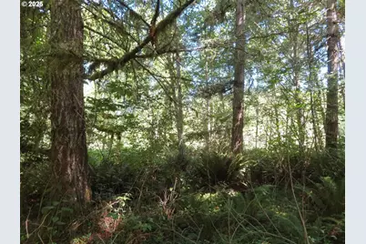 Salmon Creek Rd, Mossyrock, WA 98564 - Photo 5