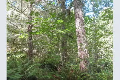 Salmon Creek Rd, Mossyrock, WA 98564 - Photo 7