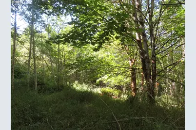 Salmon Creek Rd, Mossyrock, WA 98564 - Photo 13